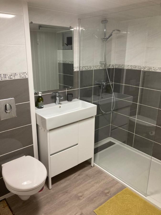Appartement en rez-de-chaussée de maison Montanay Exterior foto